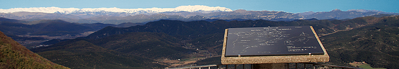 Mare de Deu de la Salut, Sant Feliu de Pallerols